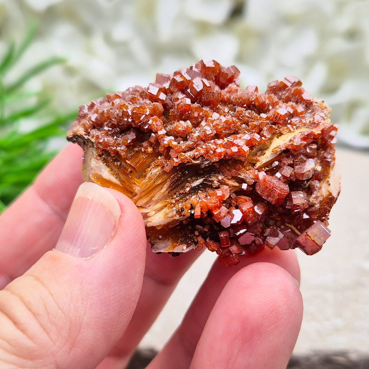 Sparkling Vanadinite cluster from Morocco. A grounding crystal for focus, vitality, and steady energy. Ideal for meditation, balance, & crystal work. 
