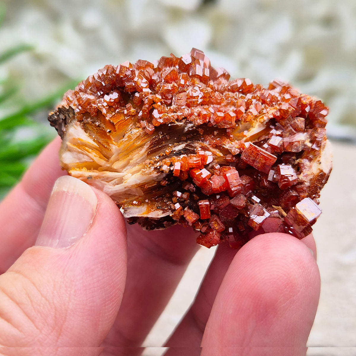Sparkling Vanadinite cluster from Morocco. A grounding crystal for focus, vitality, and steady energy. Ideal for meditation, balance, & crystal work. 