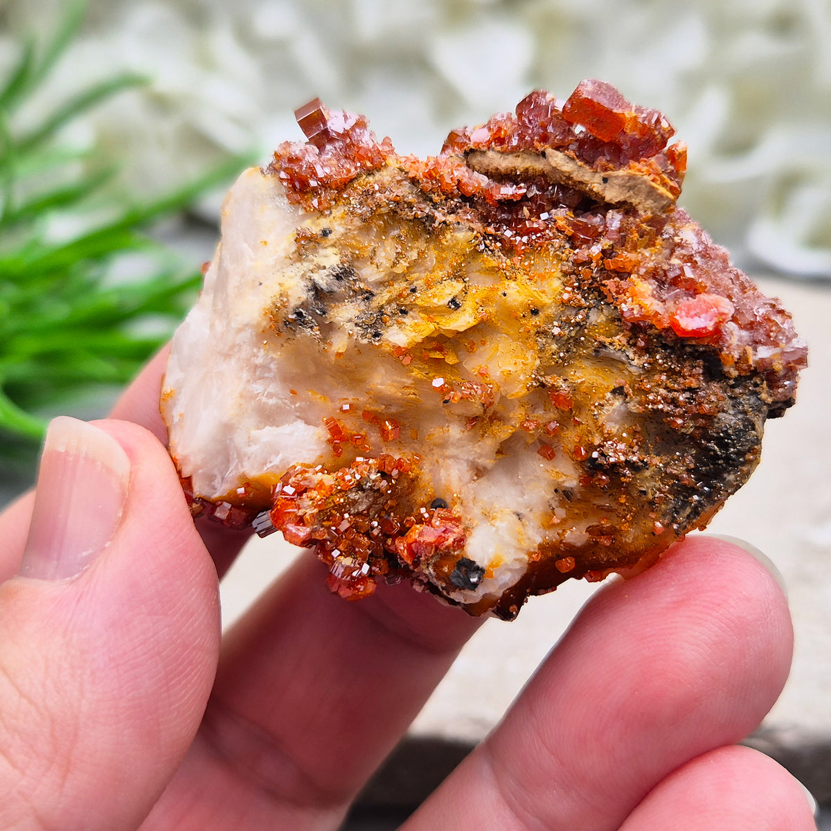 Sparkling Vanadinite cluster from Morocco. A grounding crystal for focus, vitality, and steady energy. Ideal for meditation, balance, & crystal work. 