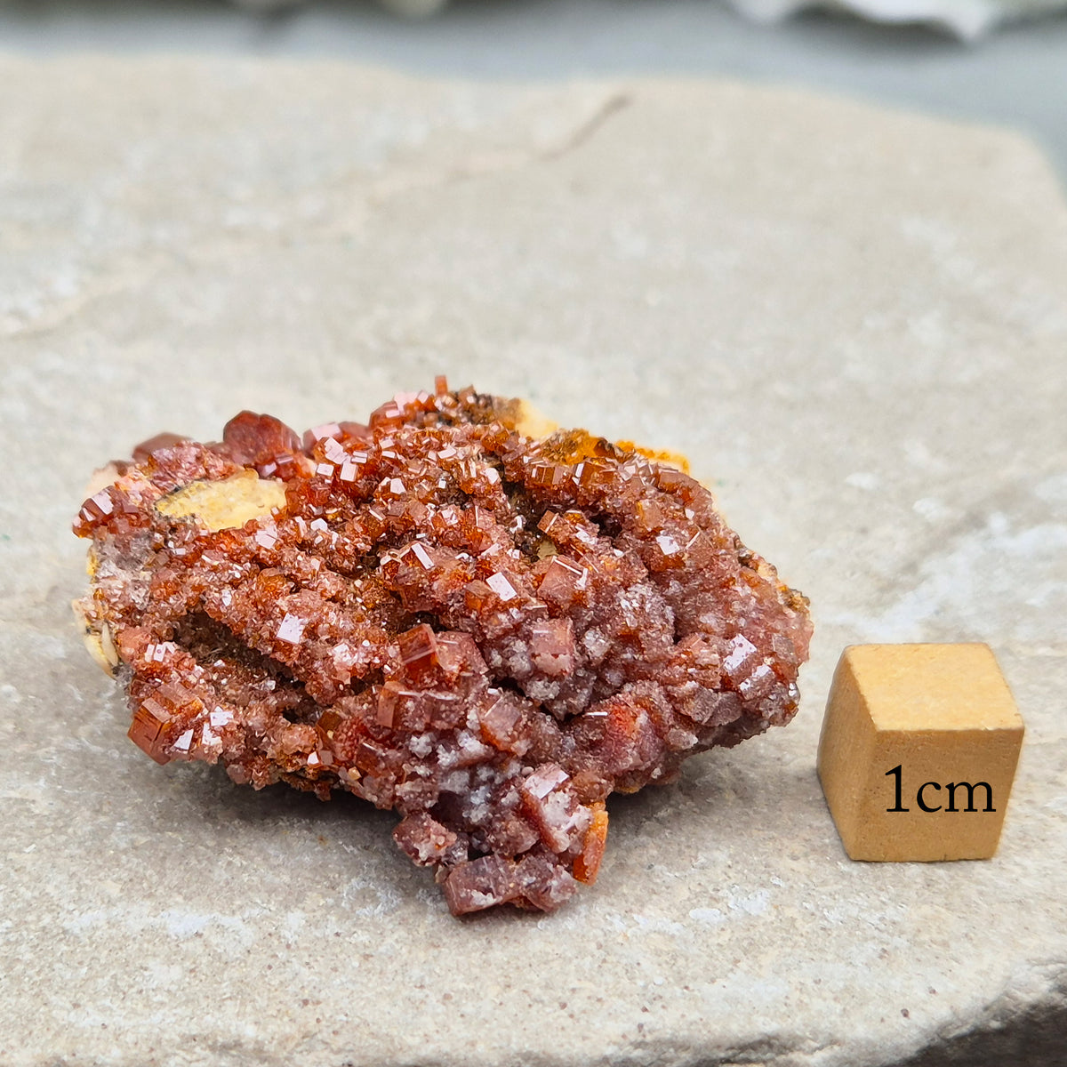 Sparkling Vanadinite cluster from Morocco. A grounding crystal for focus, vitality, and steady energy. Ideal for meditation, balance, & crystal work. 