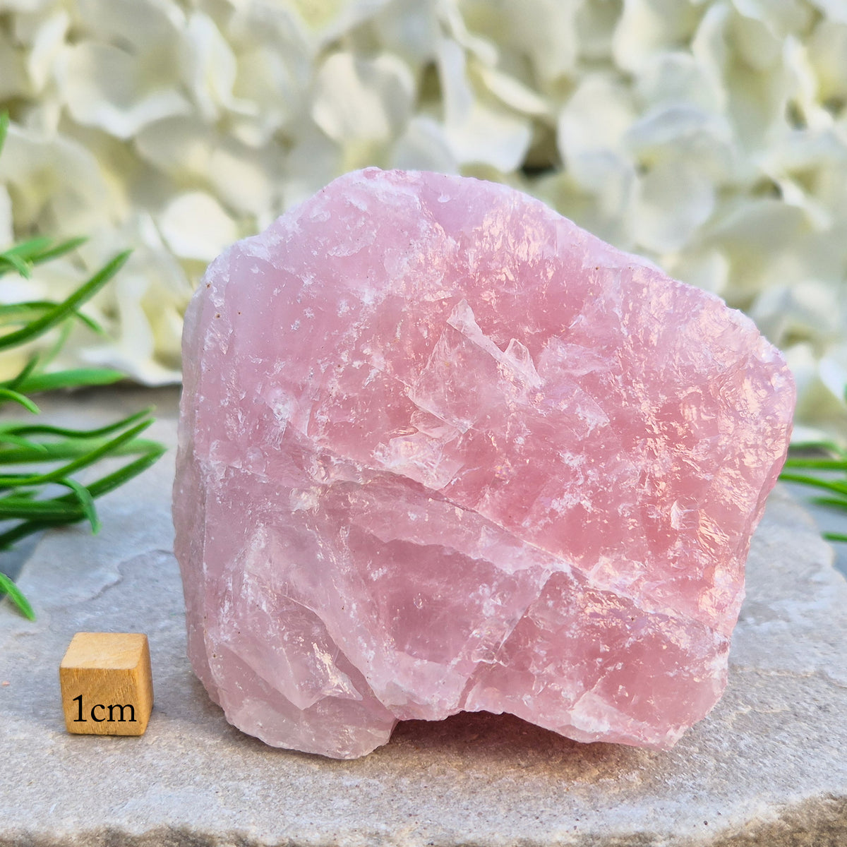 Natural Rose Quartz crystal to display in your home. Promotes calm, self-love, and emotional balance while bringing harmony to your space. 