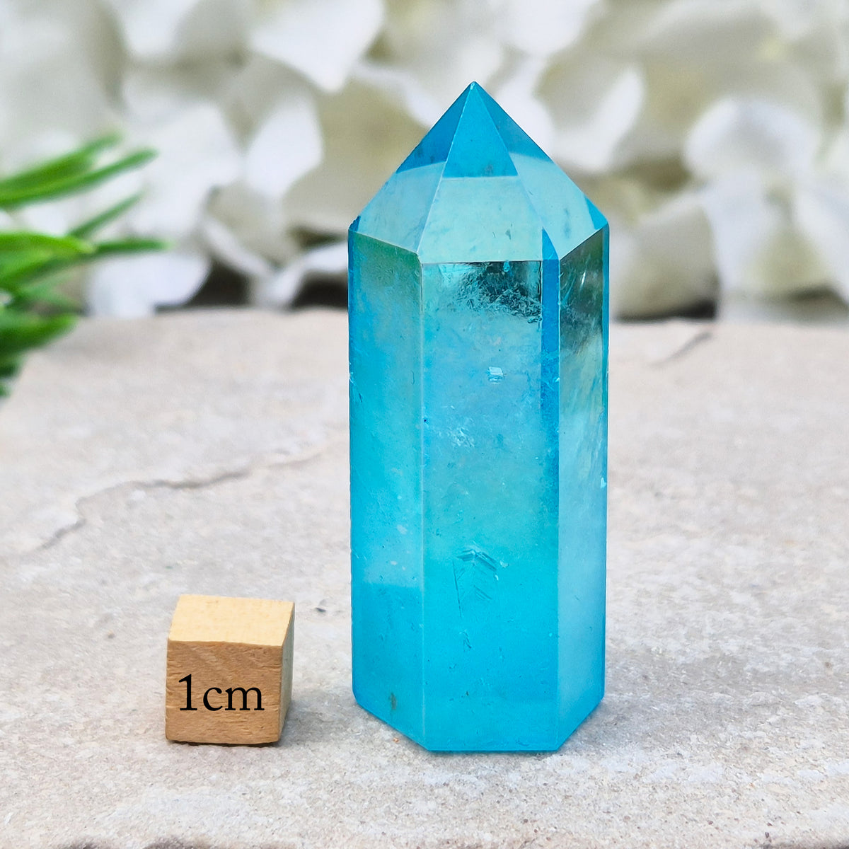 Striking Aqua Aura Point from Brazil. Gold-bonded Quartz for clarity, calm, and communication. High-vibe crystal to uplift and soothe the aura. 