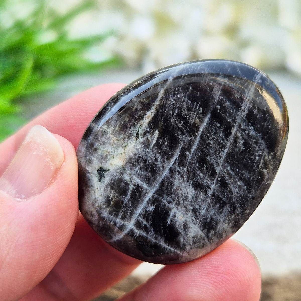 Black Moonstone Palm Stone, valued for its connection to the moon’s energy. Perfect for enhancing intuition, emotional healing, and balancing energy.