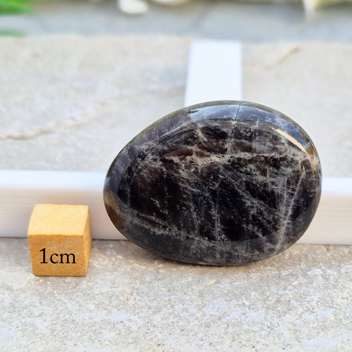 Black Moonstone Palm Stone, valued for its connection to the moon’s energy. Perfect for enhancing intuition, emotional healing, and balancing energy.