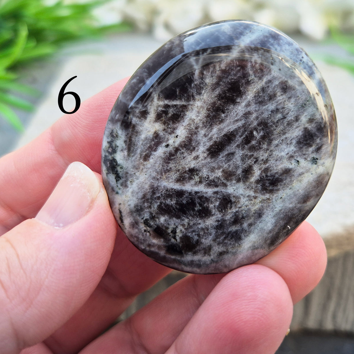 Black Moonstone Palm Stone, valued for its connection to the moon’s energy. Perfect for enhancing intuition, emotional healing, and balancing energy.