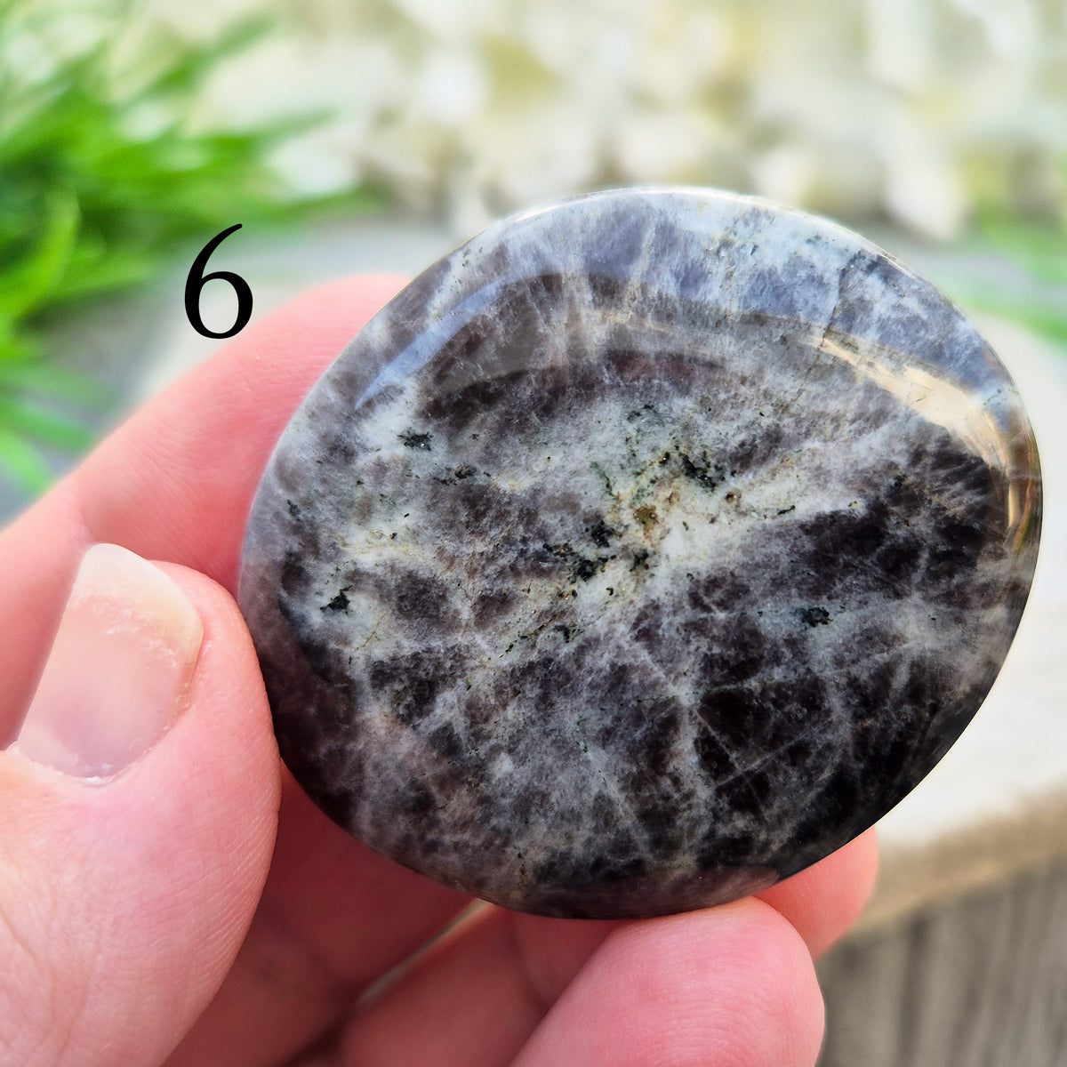 Black Moonstone Palm Stone, valued for its connection to the moon’s energy. Perfect for enhancing intuition, emotional healing, and balancing energy.