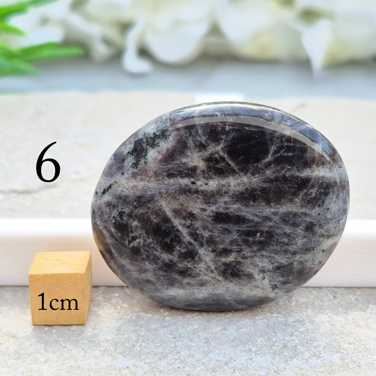 Black Moonstone Palm Stone, valued for its connection to the moon’s energy. Perfect for enhancing intuition, emotional healing, and balancing energy.