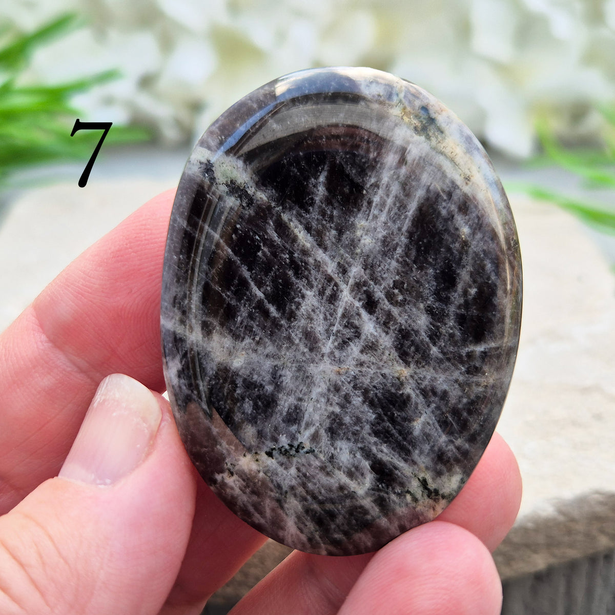 Black Moonstone Palm Stone, valued for its connection to the moon’s energy. Perfect for enhancing intuition, emotional healing, and balancing energy.