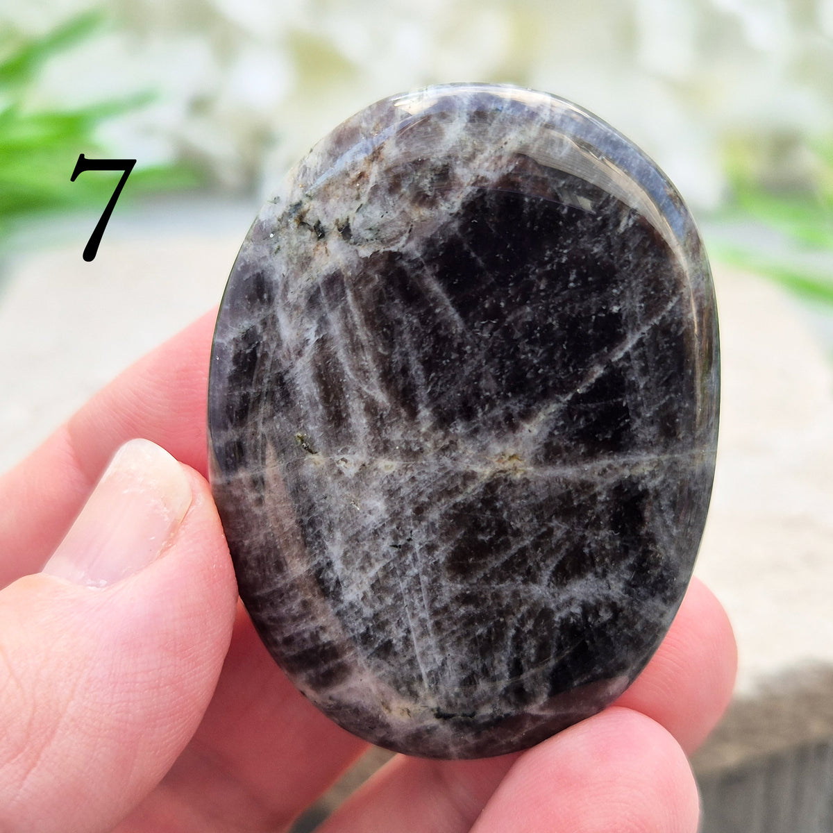 Black Moonstone Palm Stone, valued for its connection to the moon’s energy. Perfect for enhancing intuition, emotional healing, and balancing energy.
