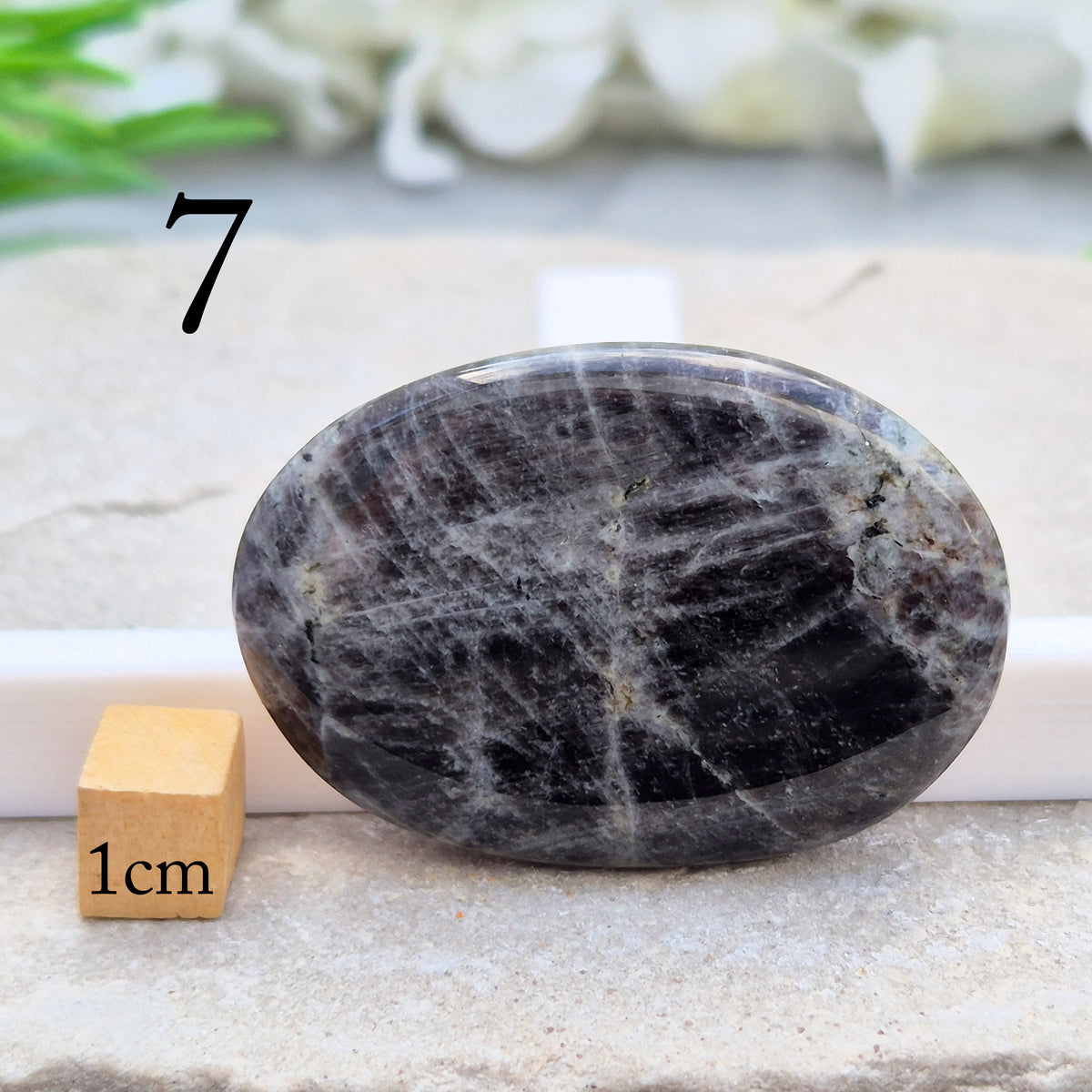 Black Moonstone Palm Stone, valued for its connection to the moon’s energy. Perfect for enhancing intuition, emotional healing, and balancing energy.