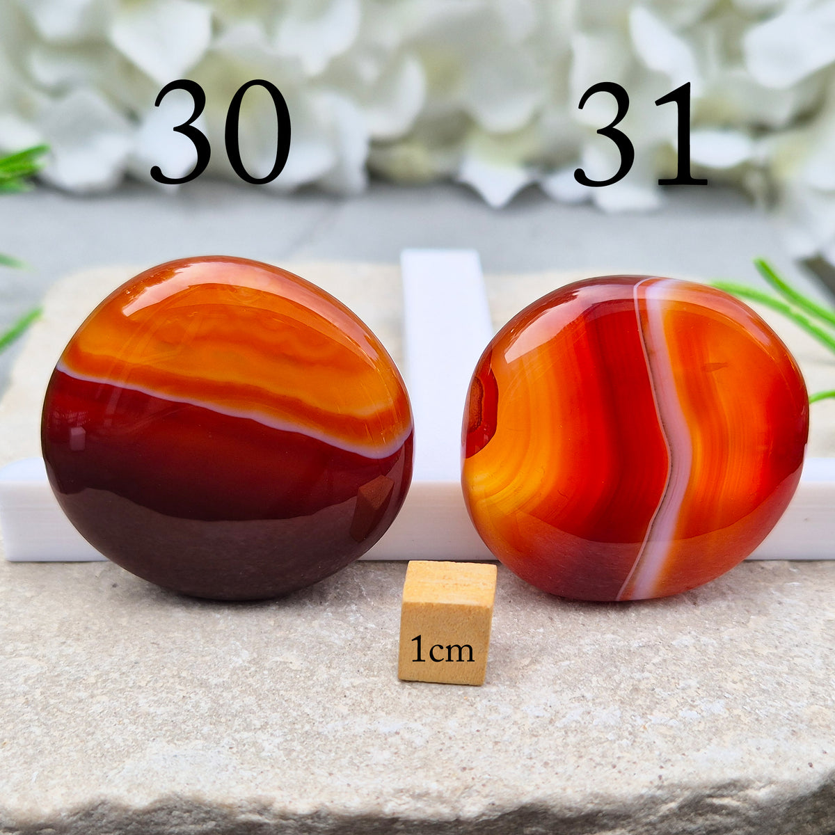 Banded Carnelian palm stone that is said to help Boost motivation, confidence and creativity. Grounding Root and Sacral crystal for energy and focus.