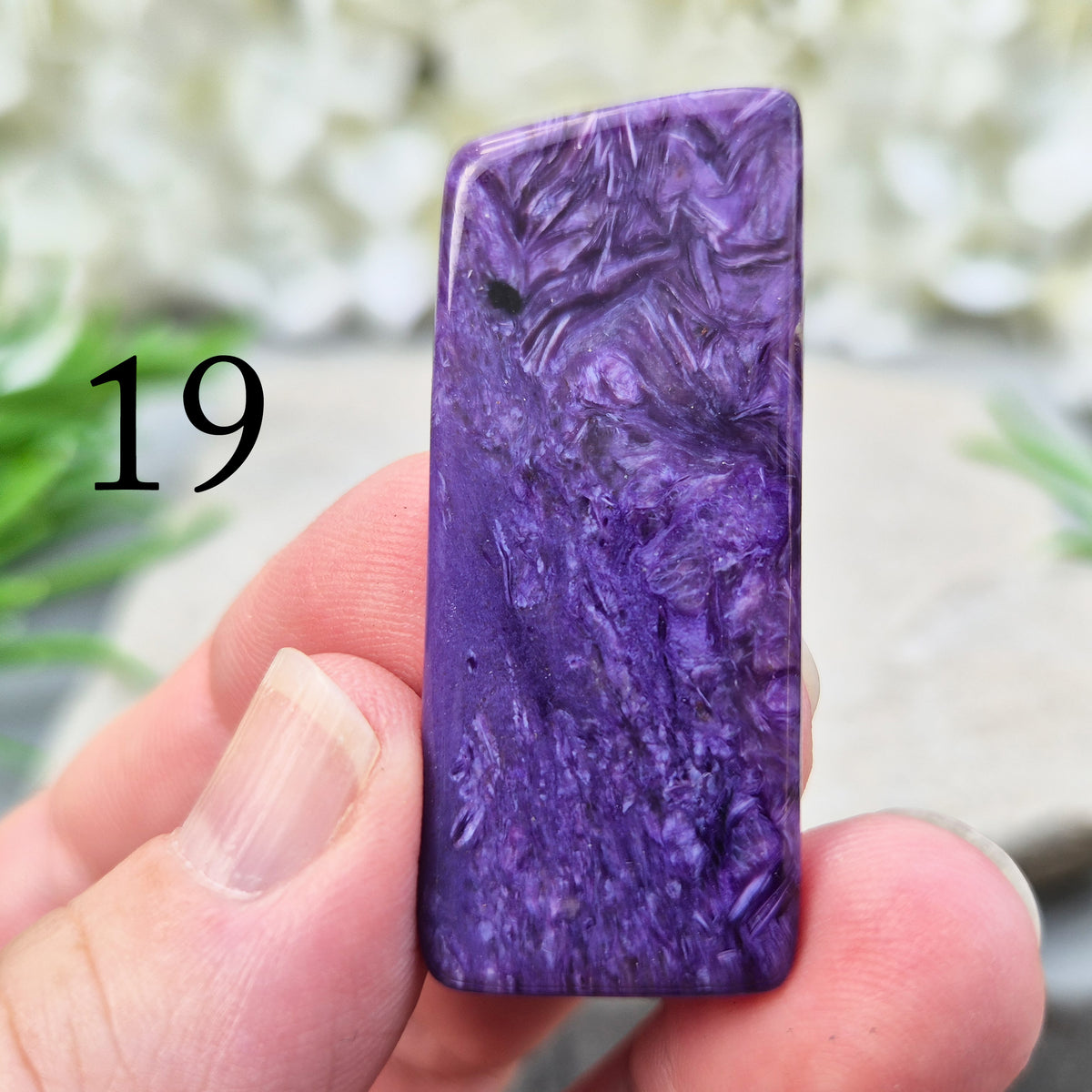 Polished Charoite slice with rich purple swirling patterns. A striking crystal associated with transformation, emotional strength, and personal growth. 
