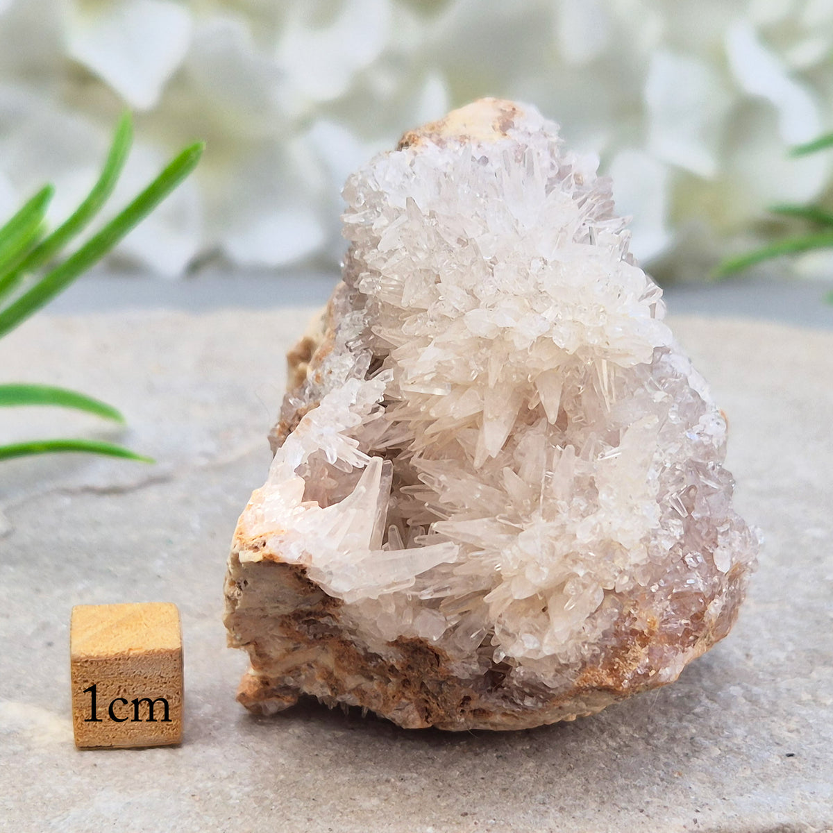 Needle Quartz Cluster from Indonesia – a master healer that amplifies energy, restores balance, and enhances focus, clarity, and spiritual growth. 