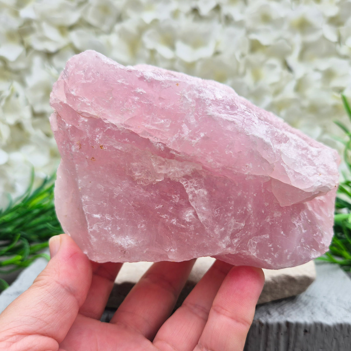 Natural Rose Quartz crystal to display in your home. Promotes calm, self-love, and emotional balance while bringing harmony to your space.