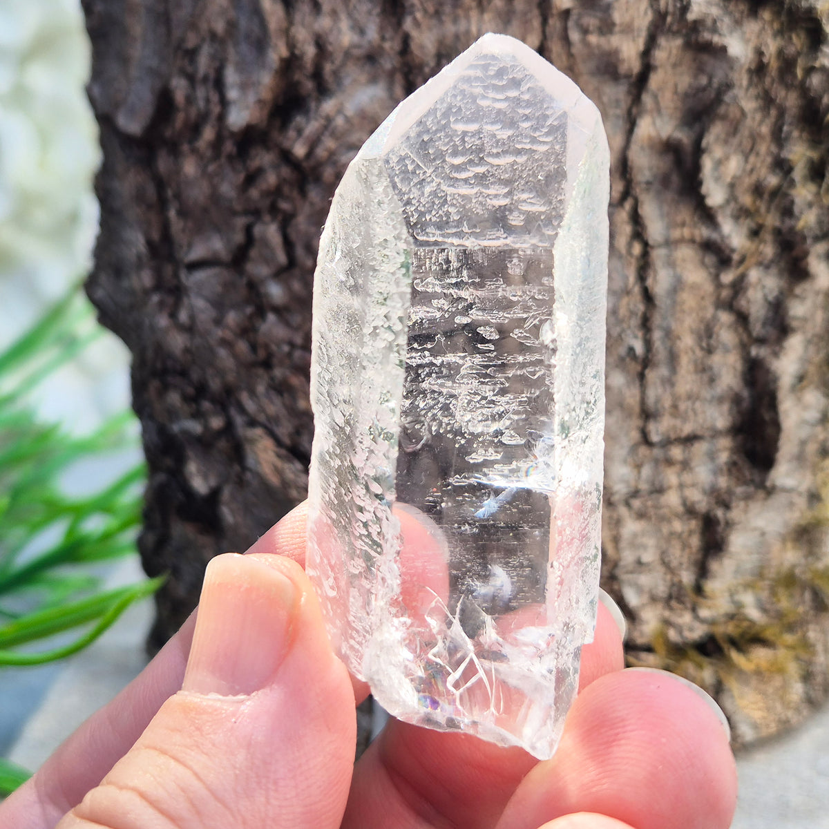 Starbrary Quartz Point – Enhances clarity, intuition, and focus. Supports balance, amplifies energy, and promotes deeper insight and inner peace.