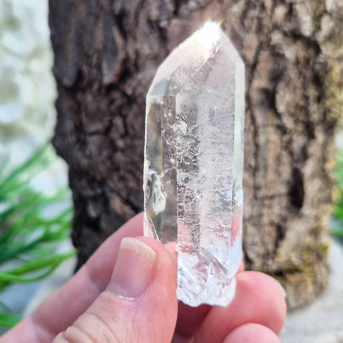Starbrary Quartz Point – Enhances clarity, intuition, and focus. Supports balance, amplifies energy, and promotes deeper insight and inner peace.