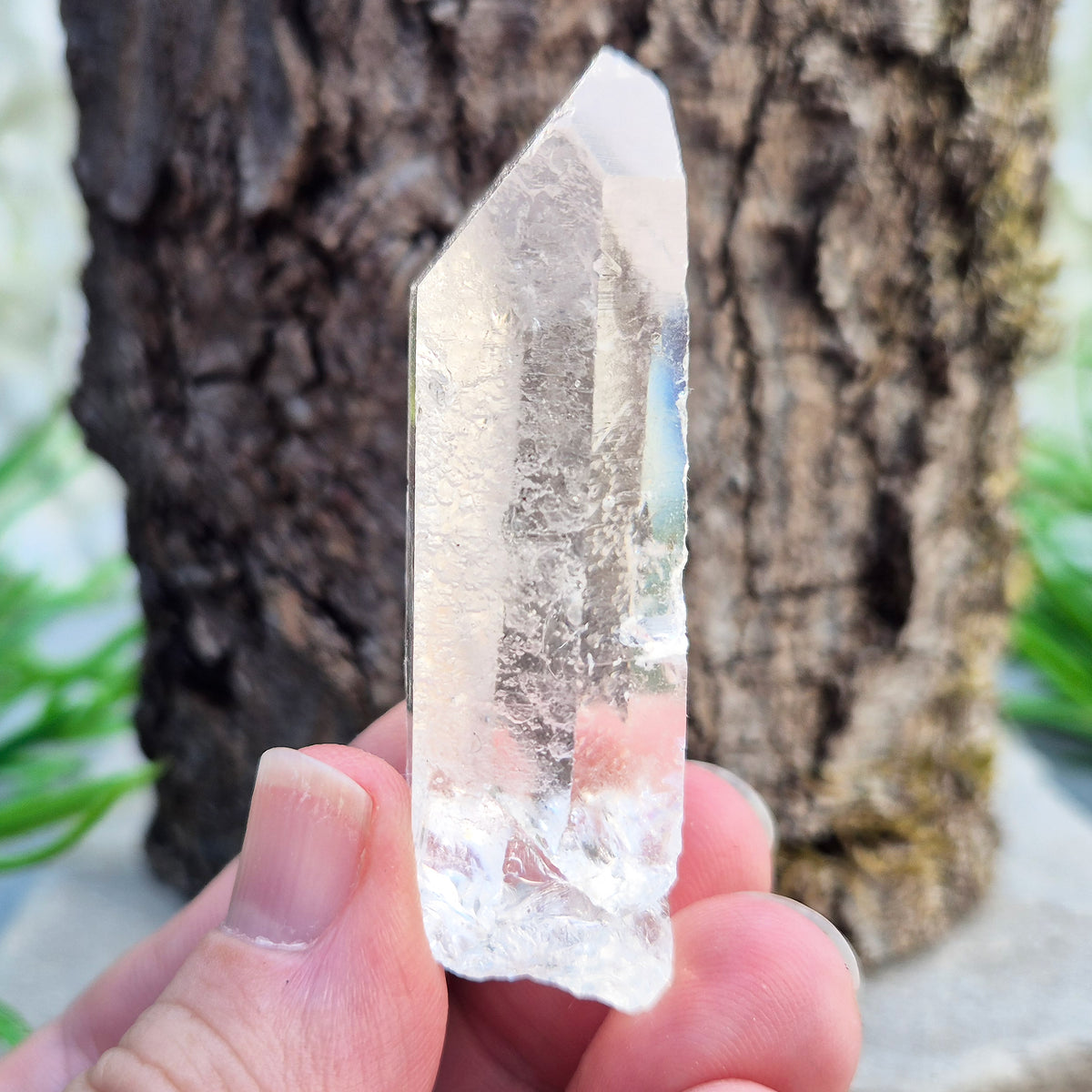 Starbrary Quartz Point – Enhances clarity, intuition, and focus. Supports balance, amplifies energy, and promotes deeper insight and inner peace.