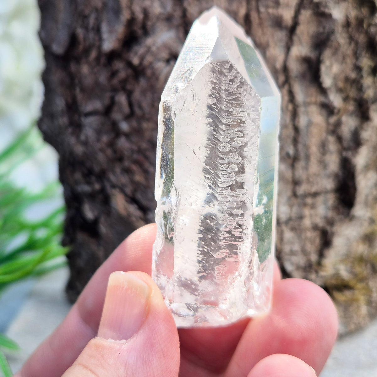 Starbrary Quartz Point – Enhances clarity, intuition, and focus. Supports balance, amplifies energy, and promotes deeper insight and inner peace.
