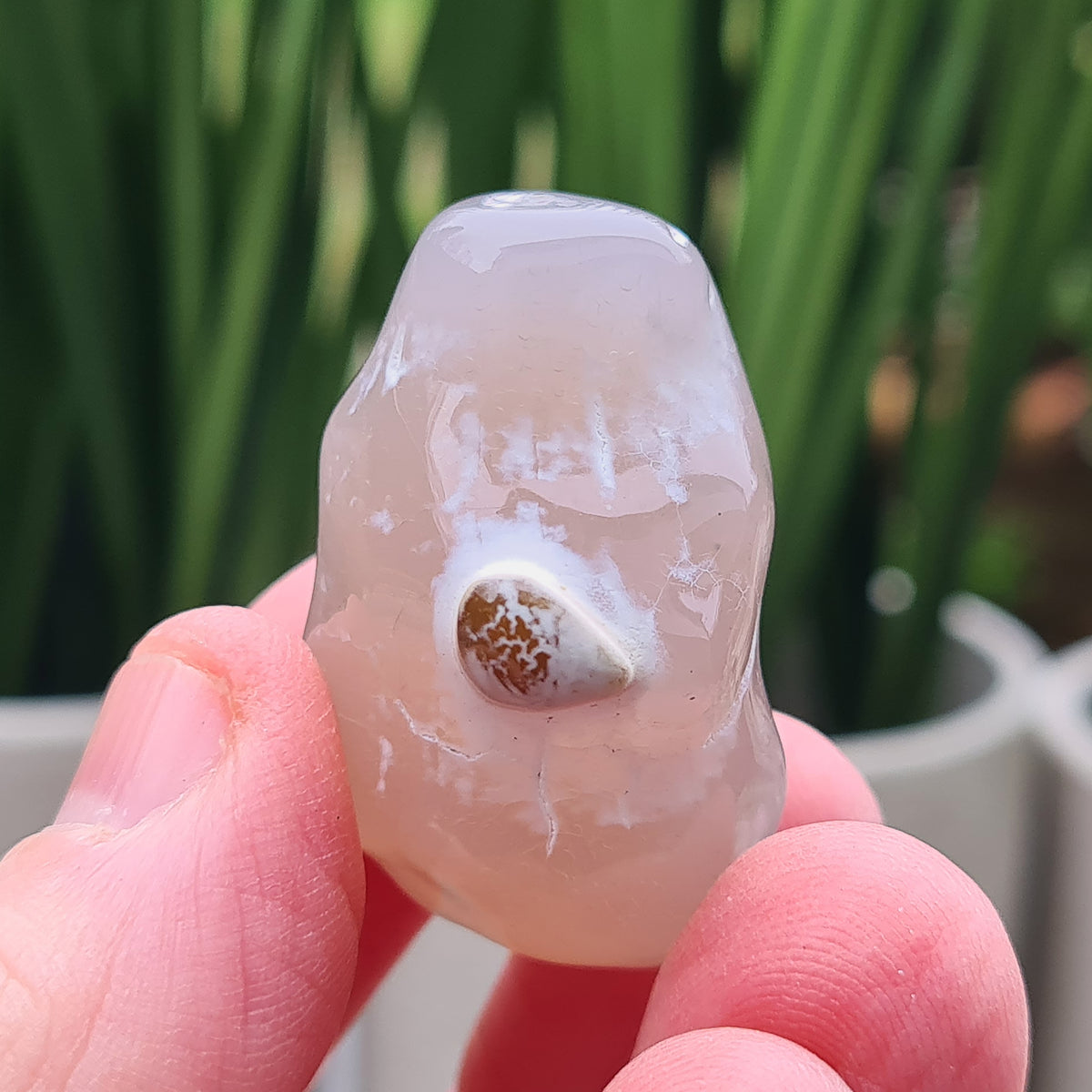Rare natural Snakeskin Agate crystal with unique natural markings. Grounding, calming stone for self-acceptance and everyday balance.