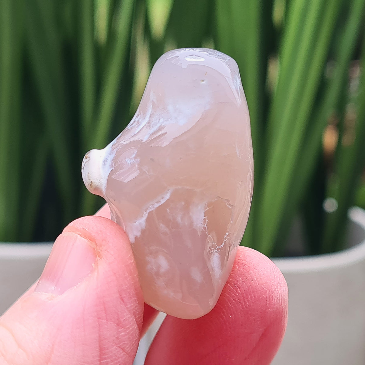 Rare natural Snakeskin Agate crystal with unique natural markings. Grounding, calming stone for self-acceptance and everyday balance.