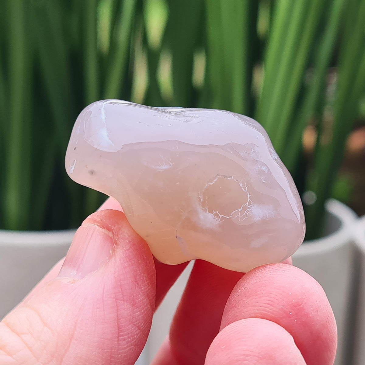 Rare natural Snakeskin Agate crystal with unique natural markings. Grounding, calming stone for self-acceptance and everyday balance.