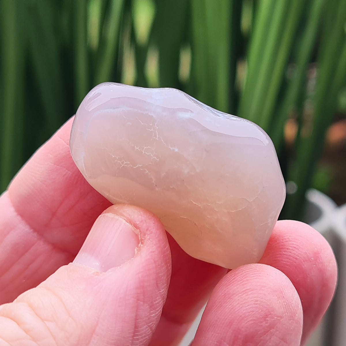 Rare natural Snakeskin Agate crystal with unique natural markings. Grounding, calming stone for self-acceptance and everyday balance.