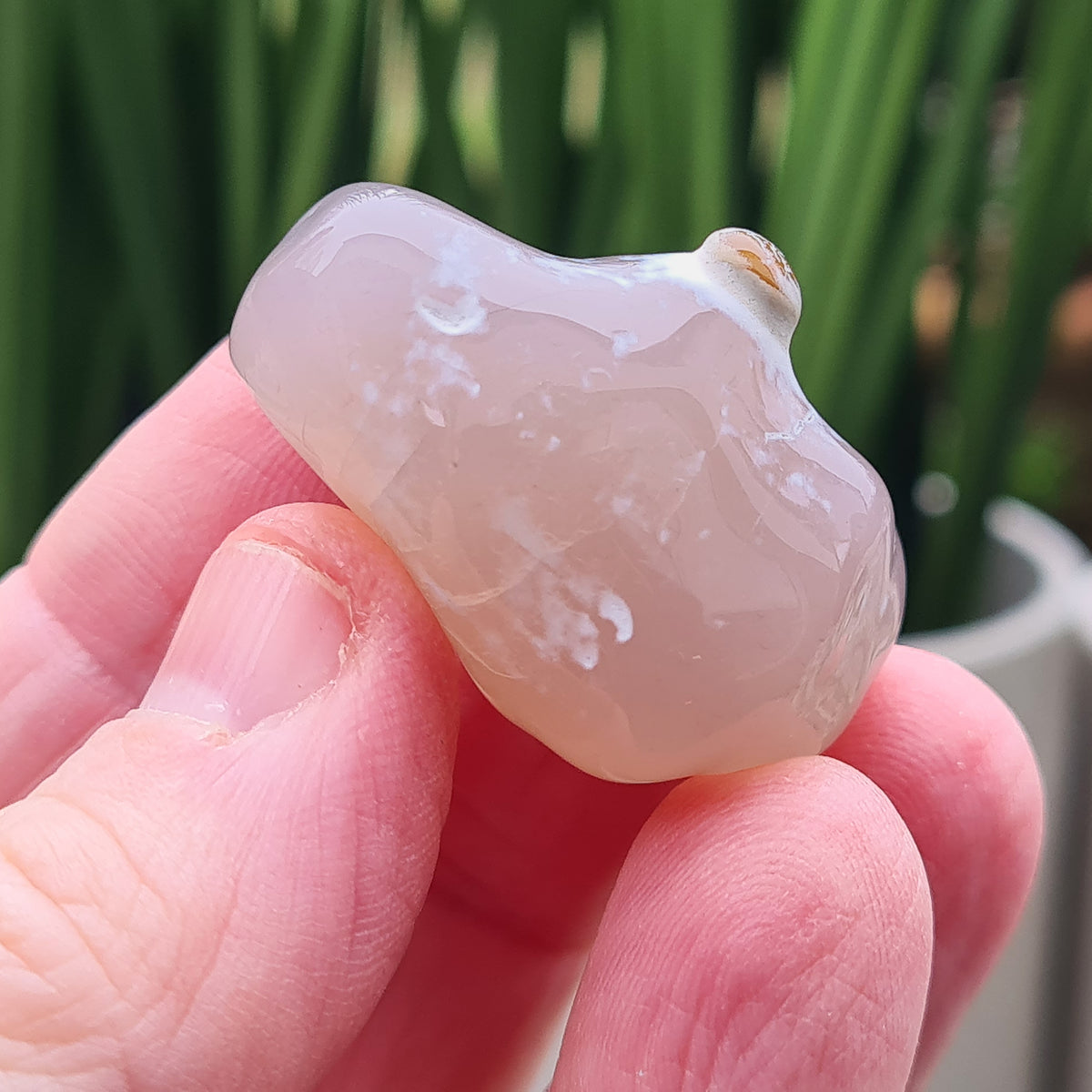 Rare natural Snakeskin Agate crystal with unique natural markings. Grounding, calming stone for self-acceptance and everyday balance.