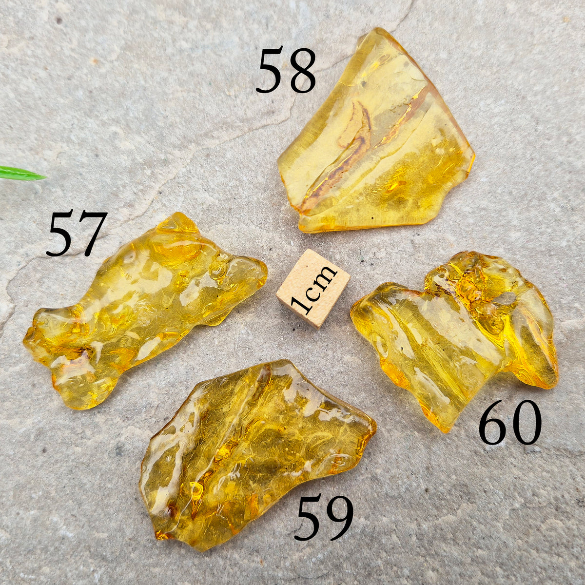 Colombian Copal Amber – hand-picked, one-of-a-kind pieces with a warm, sunlit glow. 