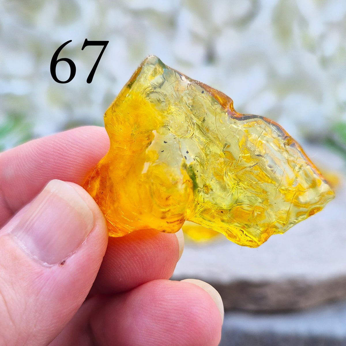 Copal Amber, Colombian