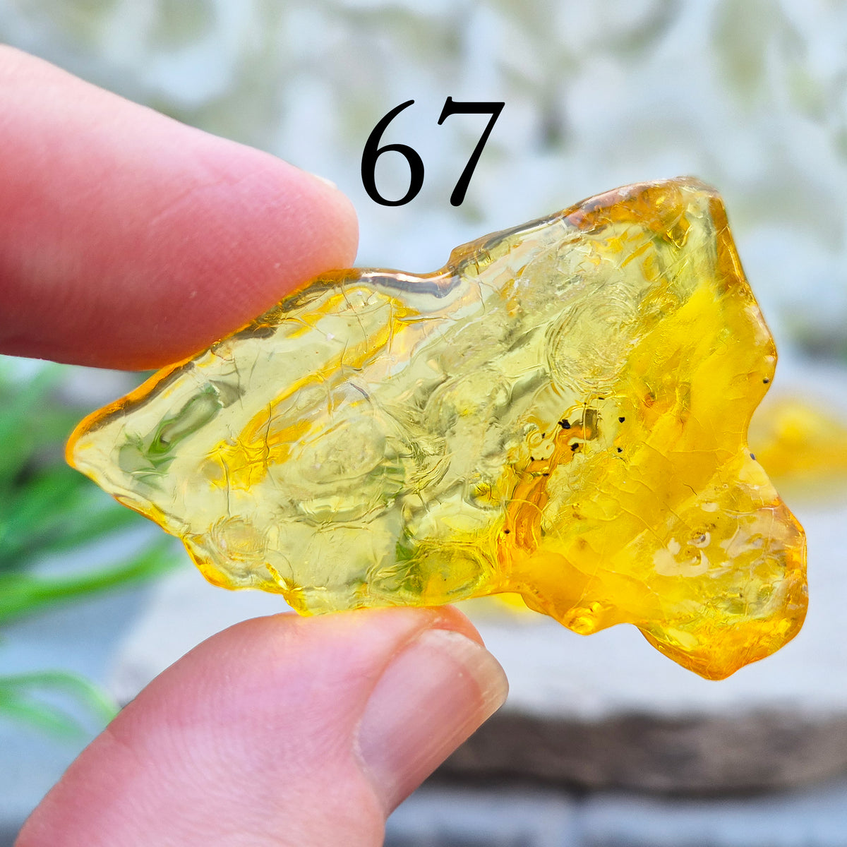Copal Amber, Colombian