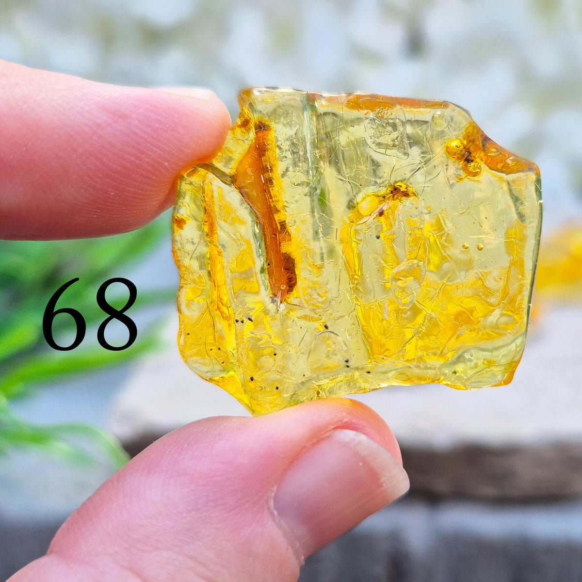 Copal Amber, Colombian