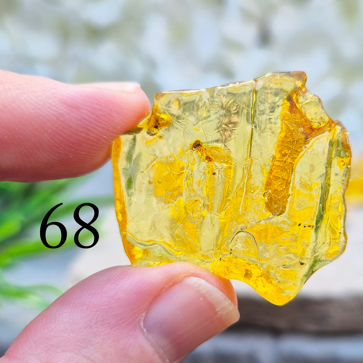 Copal Amber, Colombian