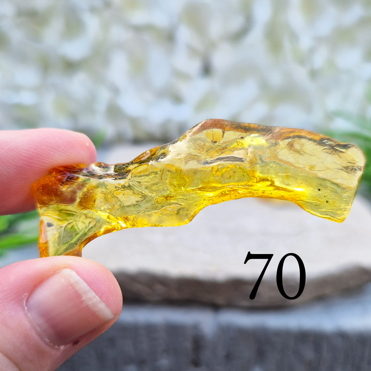 Copal Amber, Colombian