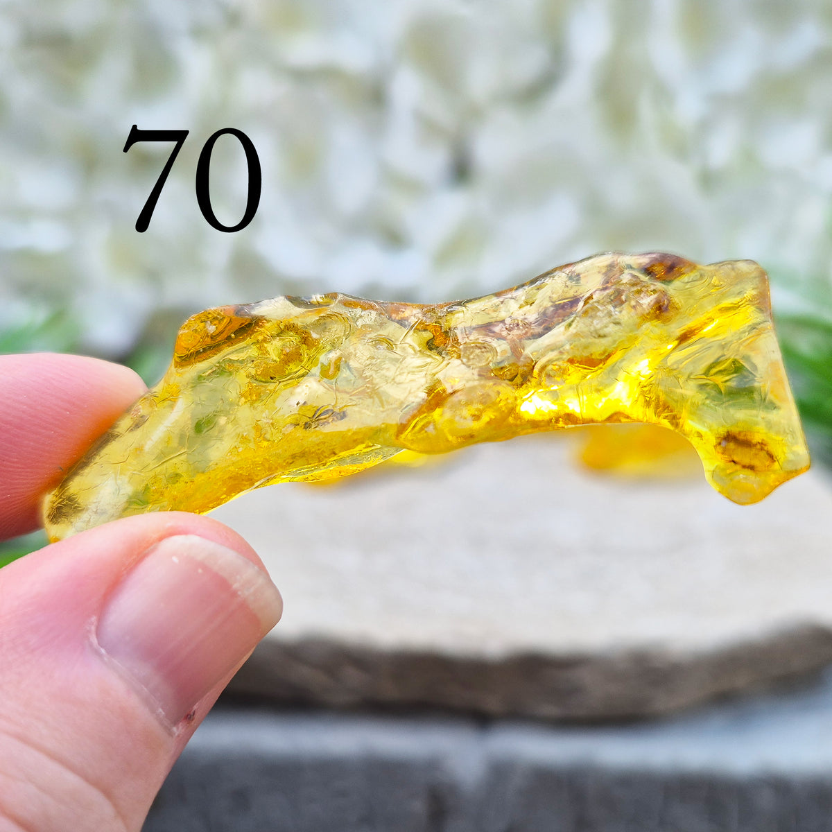 Copal Amber, Colombian