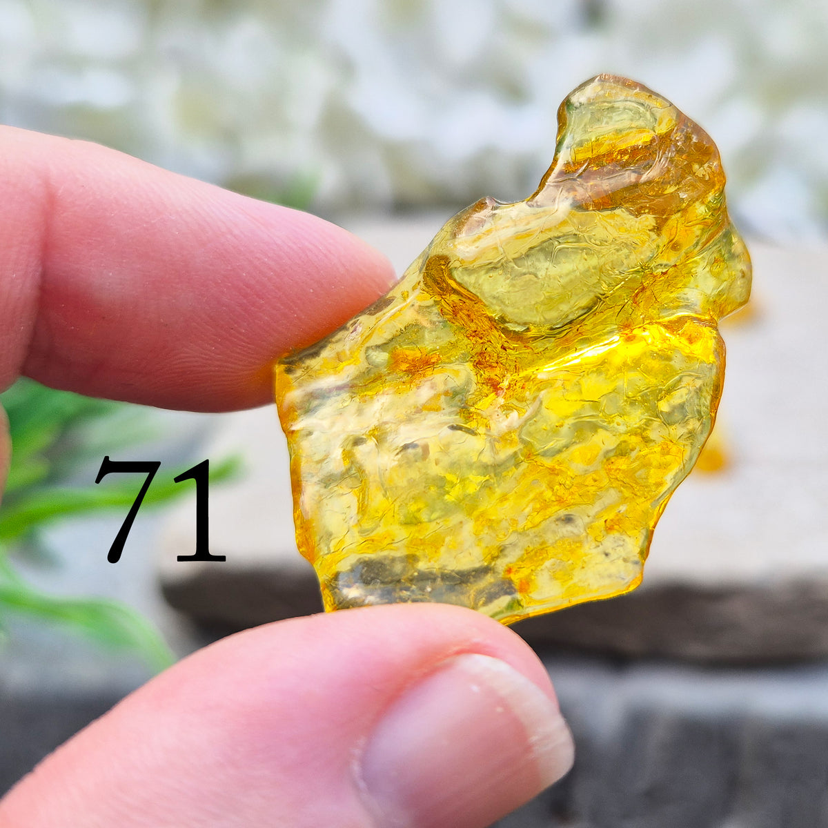 Copal Amber, Colombian