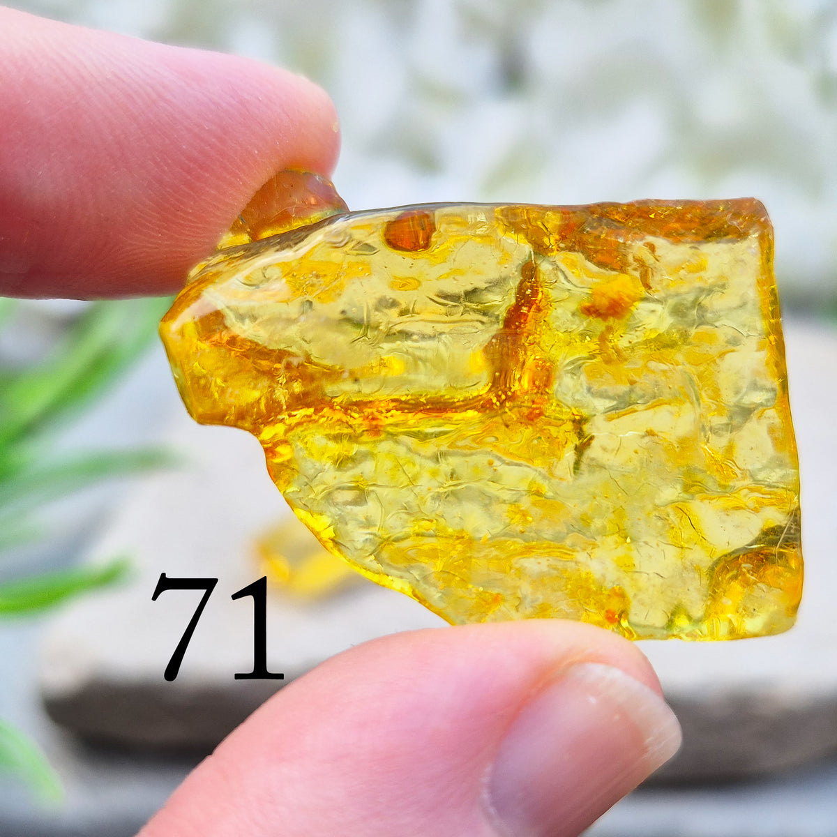 Copal Amber, Colombian