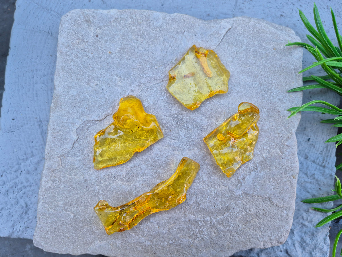 Copal Amber, Colombian