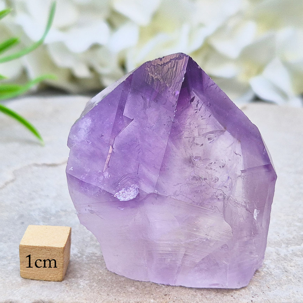 Amethyst standing point with rich purple tones, ideal for creating a calm, grounded space. A striking piece for display, meditation, or everyday energy support.