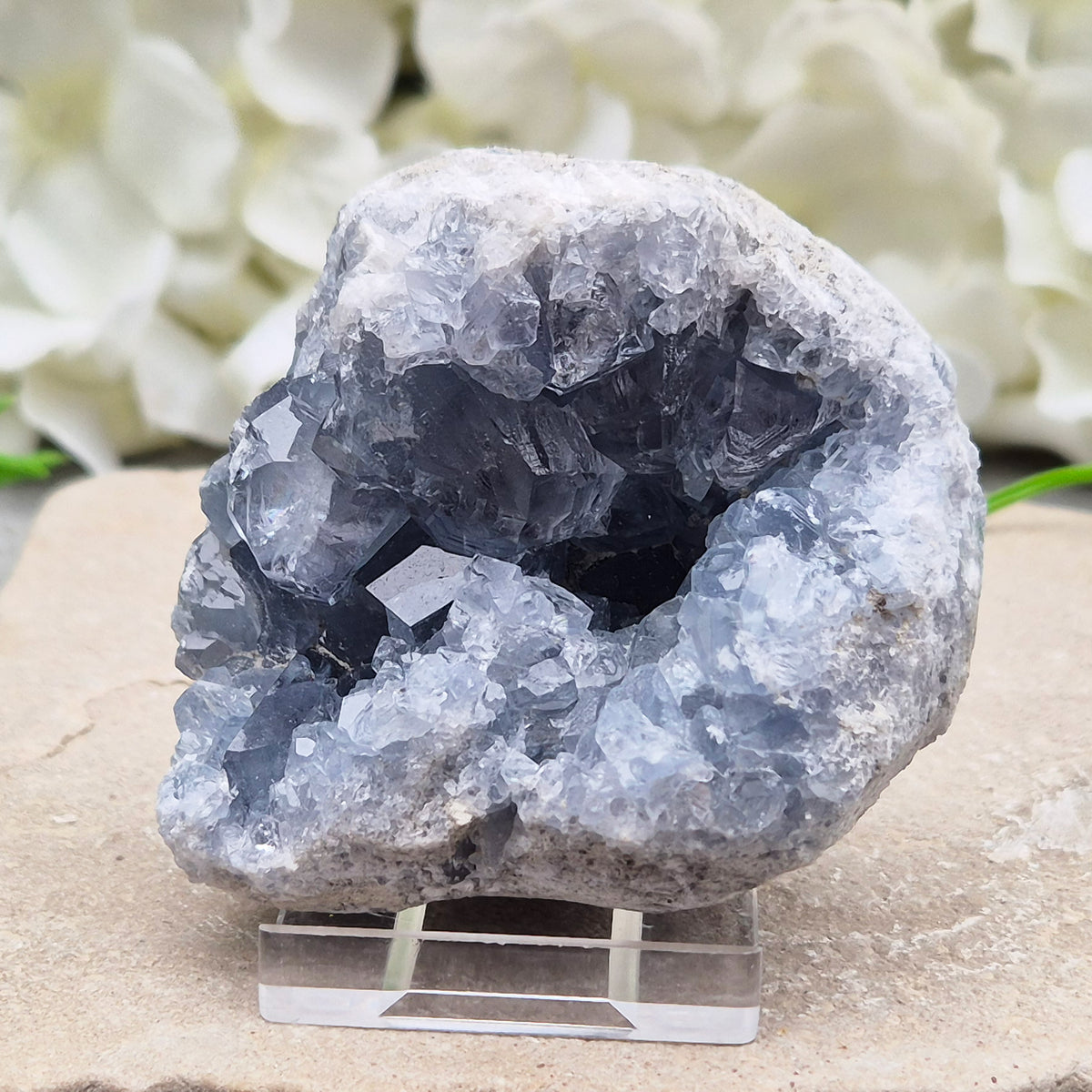 Celestite cluster from Madagascar. A calming, uplifting crystal for peace, creativity, spiritual connection, and angelic guidance. Comes with a stand.