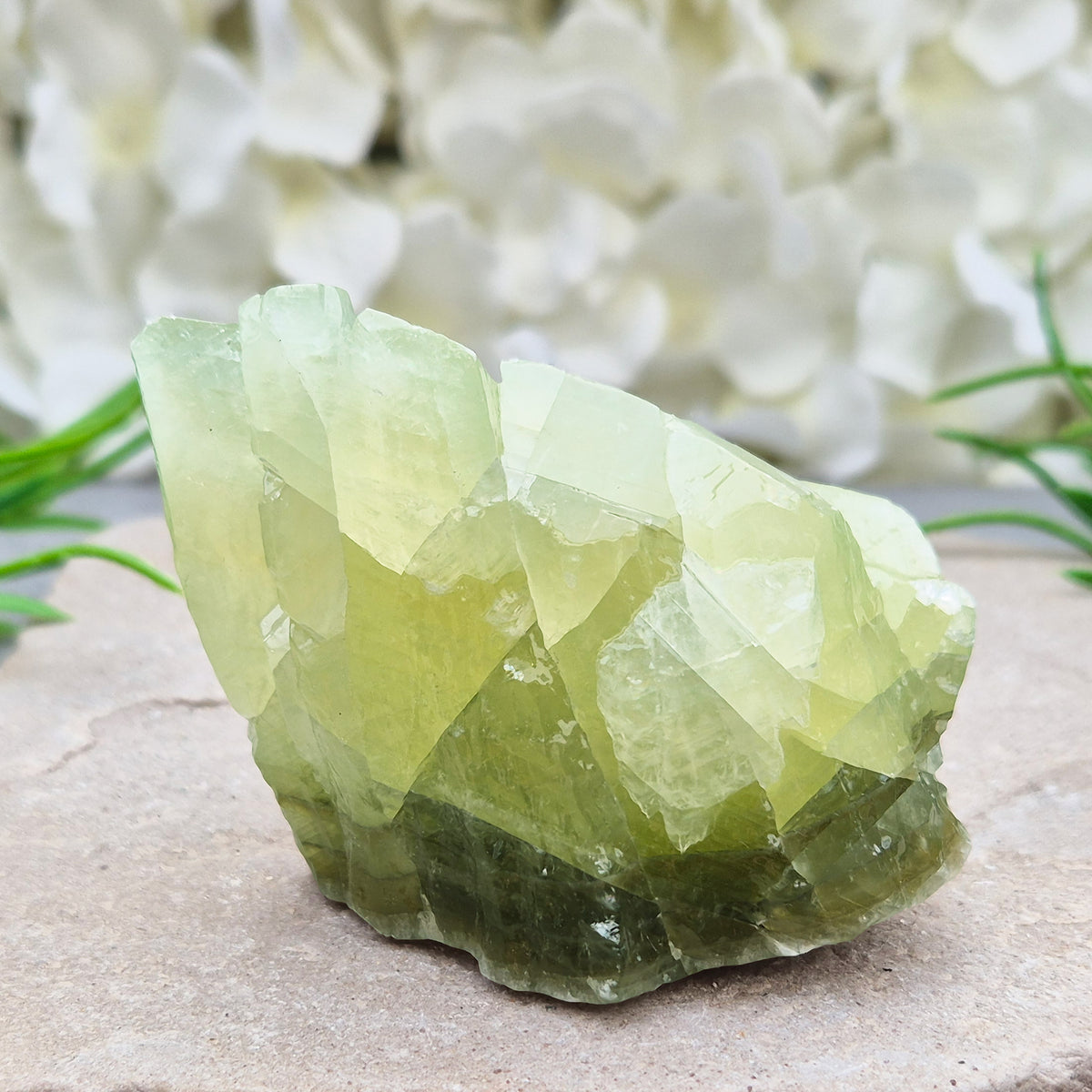 Soothing Green Calcite chunk that encourages release, emotional balance and gentle renewal. Ideal for heart-centred energy work and fresh starts.