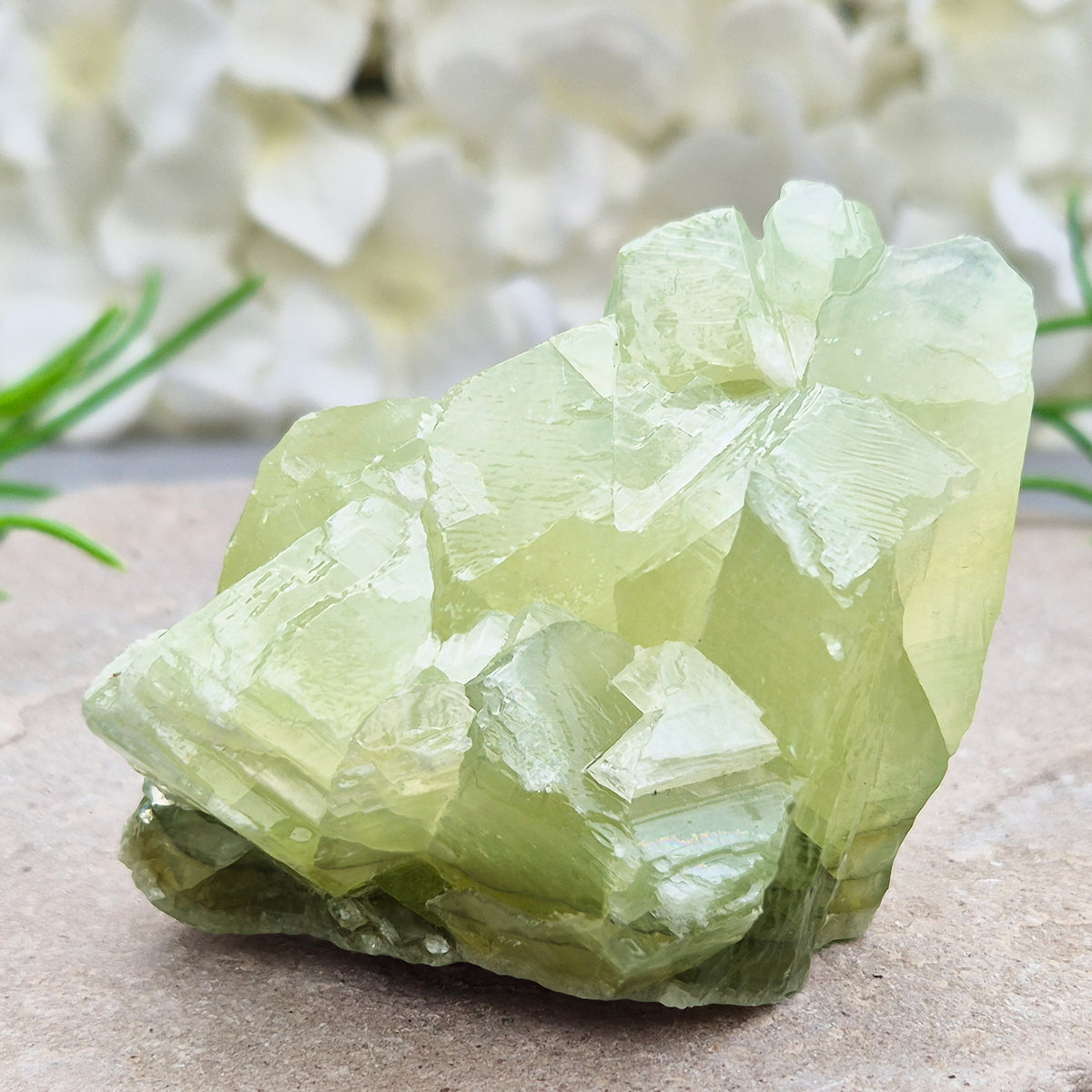 Soothing Green Calcite chunk that encourages release, emotional balance and gentle renewal. Ideal for heart-centred energy work and fresh starts.