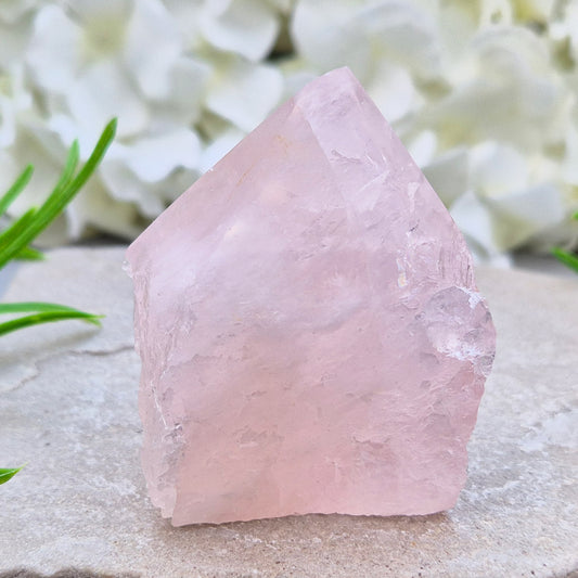 Rose Quartz Standing Point, a pink crystal associated with love, compassion and emotional healing. Perfect for crystal collections, displays and sacred spaces.