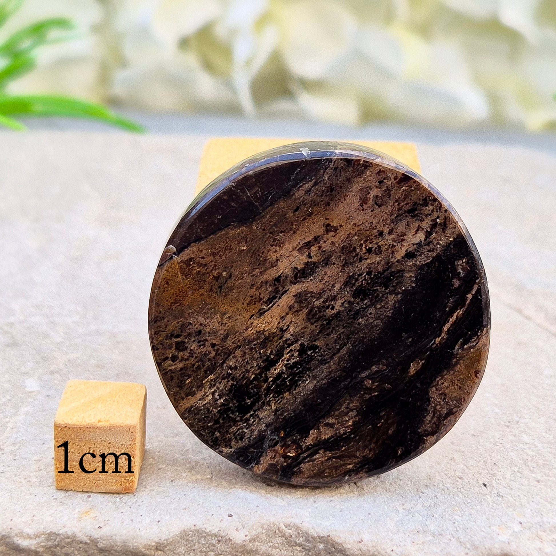 Brown & Black Obsidian Disk: A powerful blend of grounding, protection, emotional healing, and transformation. Perfect for balance, resilience, and growth.