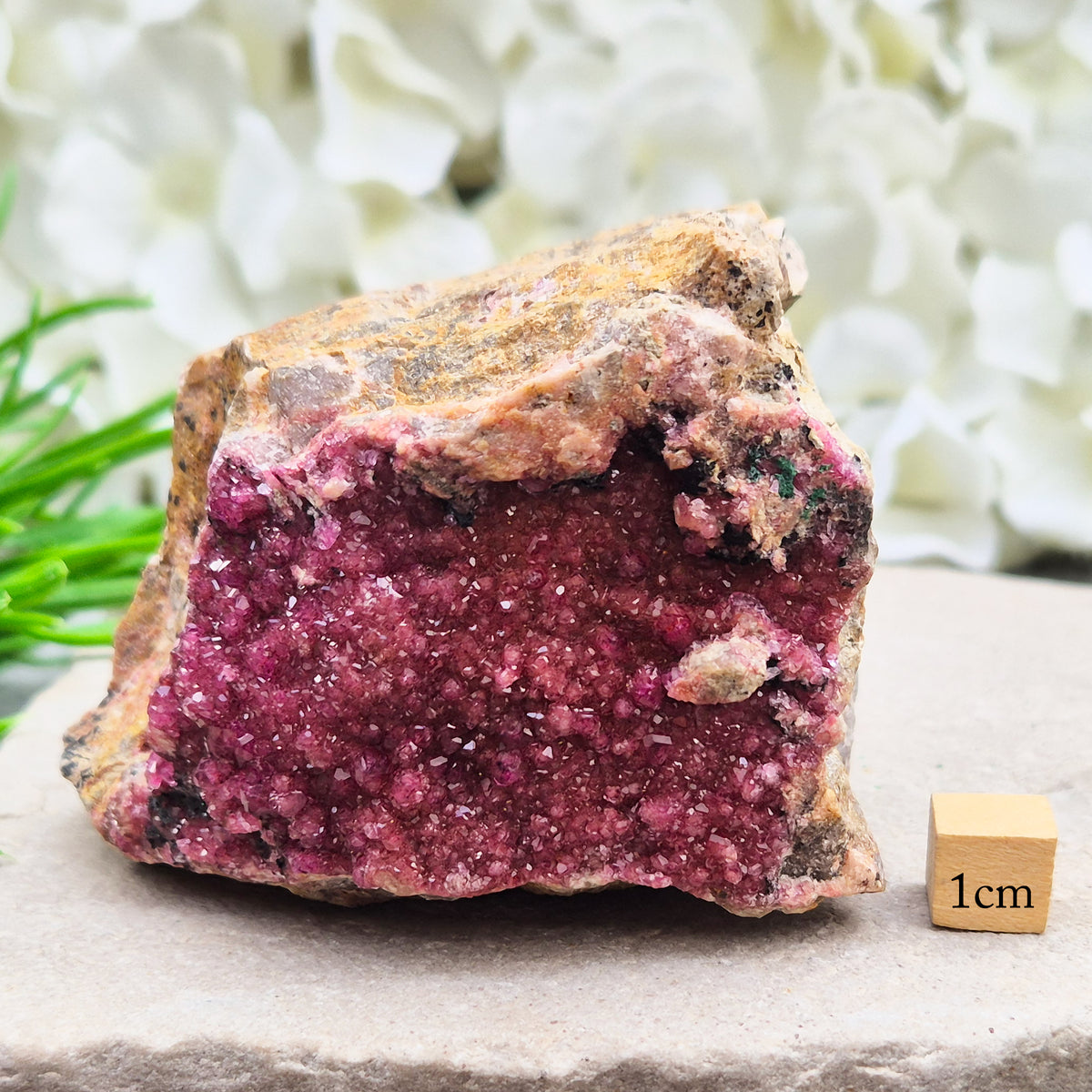 Sparkling Cobalto Calcite from Morocco. A striking pink crystal cluster linked with heart energy, emotional healing, and compassion after difficult times.