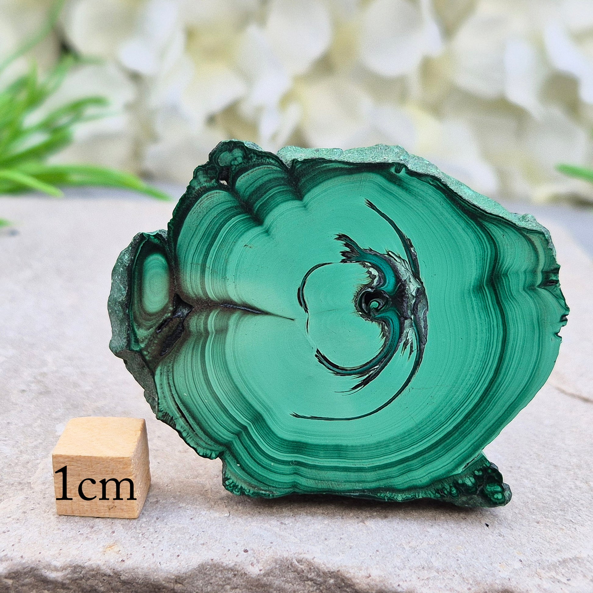 Malachite: Make positive changes, release negativity, heal emotions. Find courage, peace, compassion. Combat depression, grow spiritually.