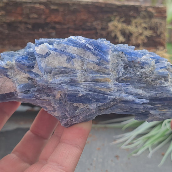 Blue Kyanite cluster from Brazil with natural blade formation. Supports clear thinking, communication, and balanced, grounded energy.