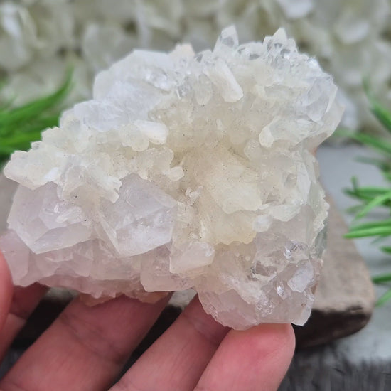 Apophyllite cluster for clarity, calm, and connection. A high-vibration crystal to uplift energy and deepen spiritual awareness in any space. 