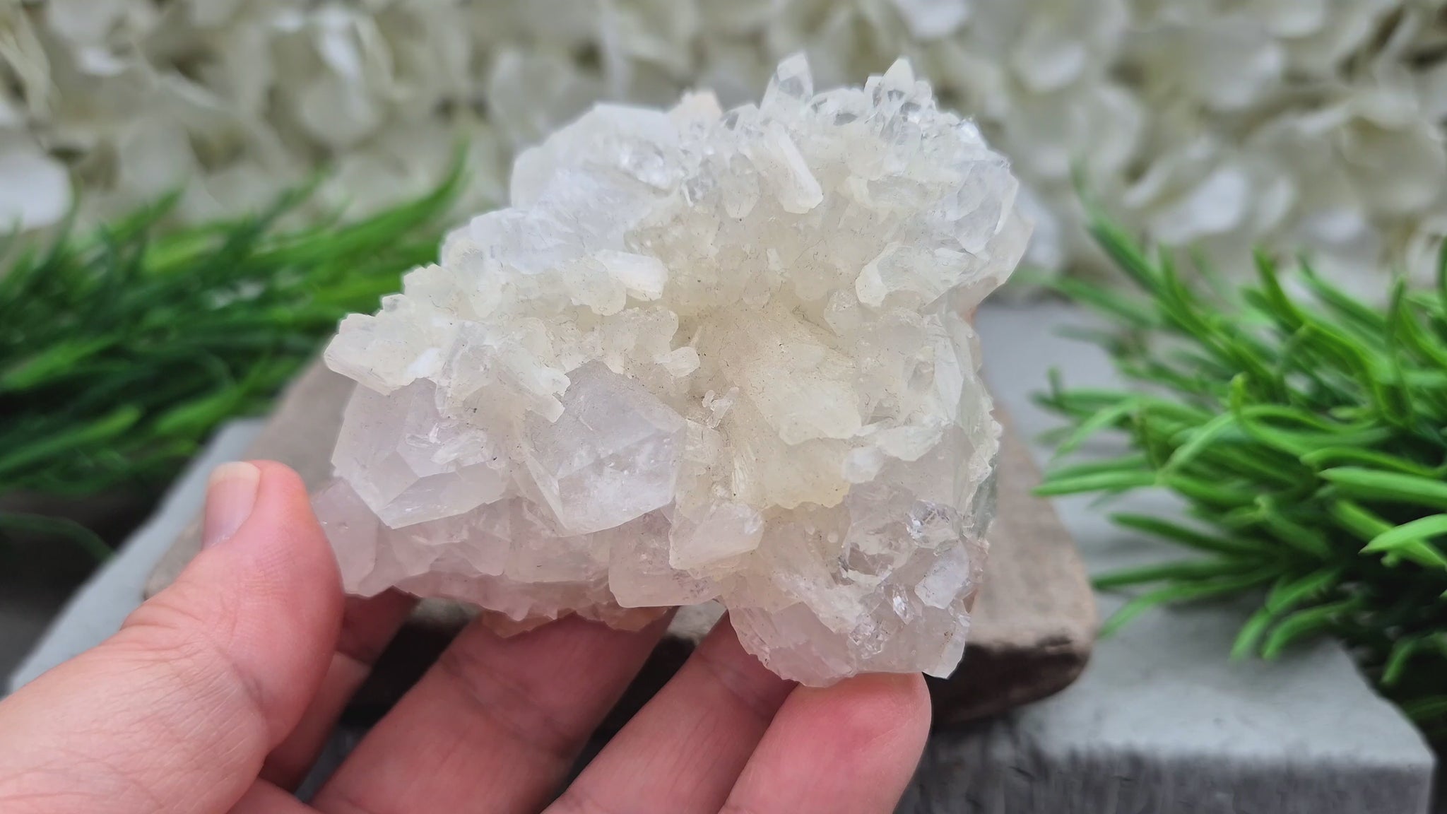 Apophyllite cluster for clarity, calm, and connection. A high-vibration crystal to uplift energy and deepen spiritual awareness in any space. 