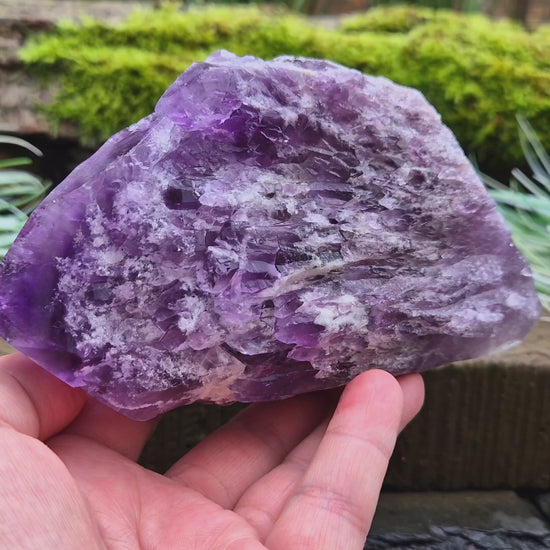 This striking Elestial Amethyst, also known as Bahia Amethyst or Amethyst Root features layered formations with multiple points and a large central termination. The shape is reminiscent of a fish — often associated with intuition and emotional depth. A beautiful rainbow in the “tail” adds a touch of light and joy to its already captivating presence.