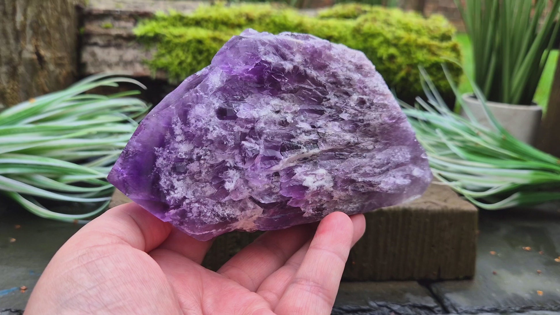 This striking Elestial Amethyst, also known as Bahia Amethyst or Amethyst Root features layered formations with multiple points and a large central termination. The shape is reminiscent of a fish — often associated with intuition and emotional depth. A beautiful rainbow in the “tail” adds a touch of light and joy to its already captivating presence.